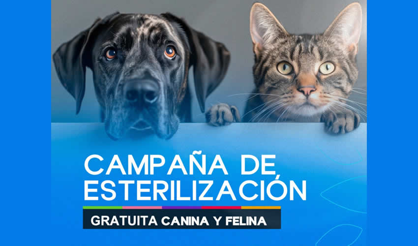 Imagen relativa a la nota.