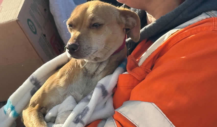 Imagen relativa a la nota.