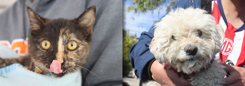 Imagen relativa a la nota.