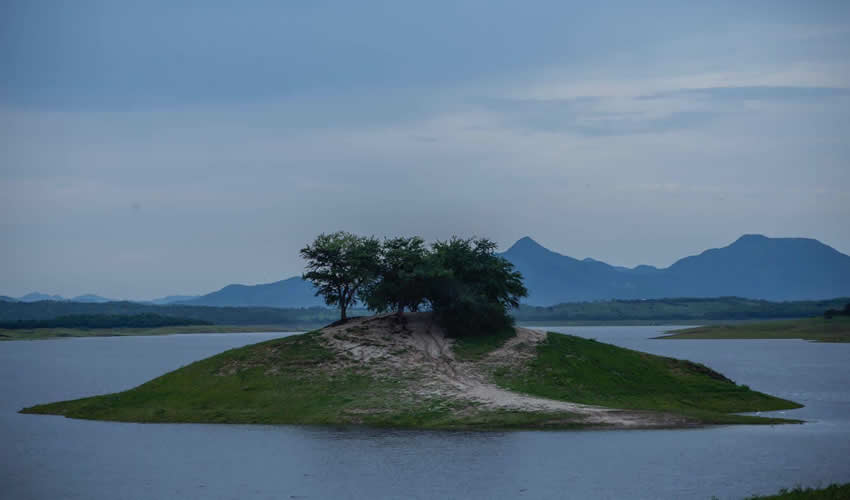 Imagen relativa a la nota.