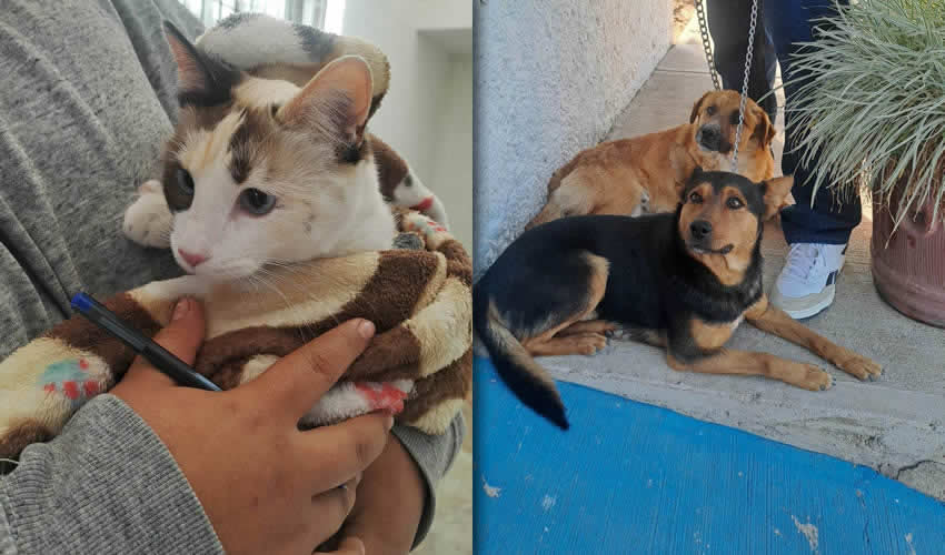 Imagen relativa a la nota.