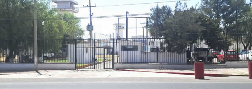 Imagen relativa a la nota.