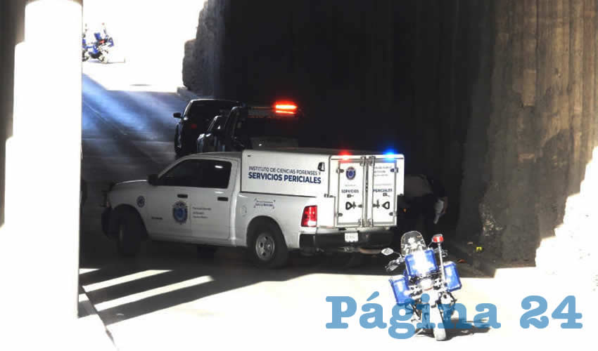 Imagen relativa a la nota.