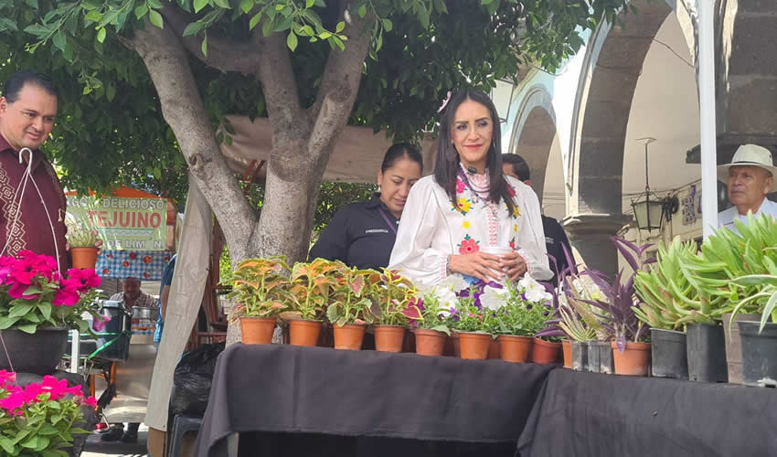 Imagen relativa a la nota.