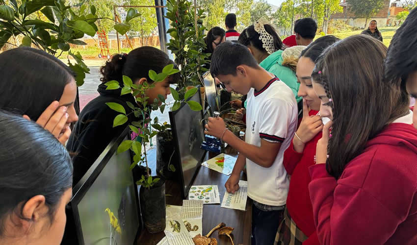 Imagen relativa a la nota.