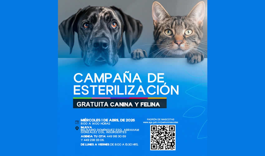 Imagen relativa a la nota.