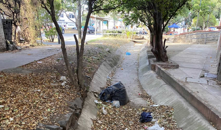 Imagen relativa a la nota.