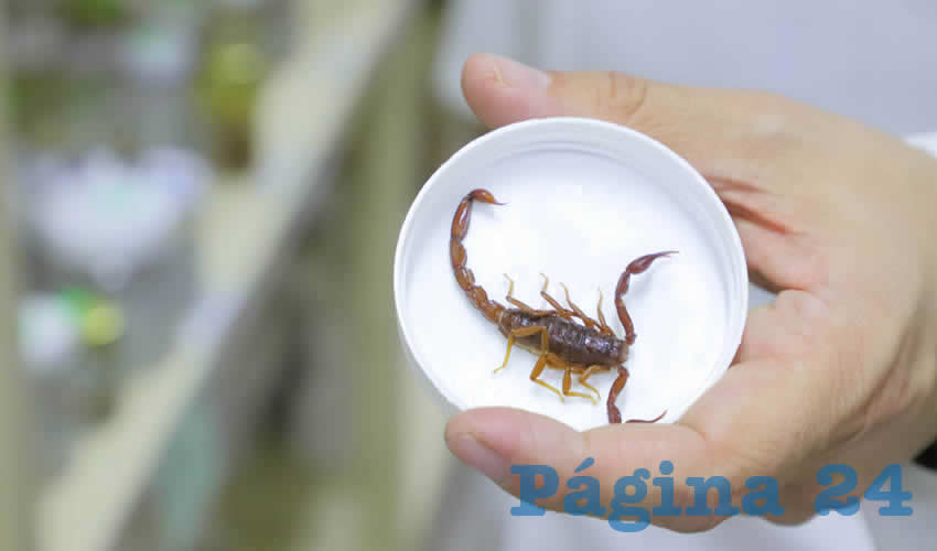 Imagen relativa a la nota.