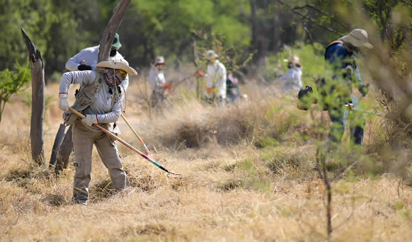 Imagen relativa a la nota.