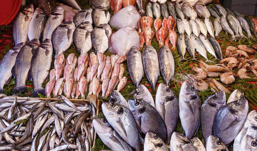 Imagen relativa a la nota.