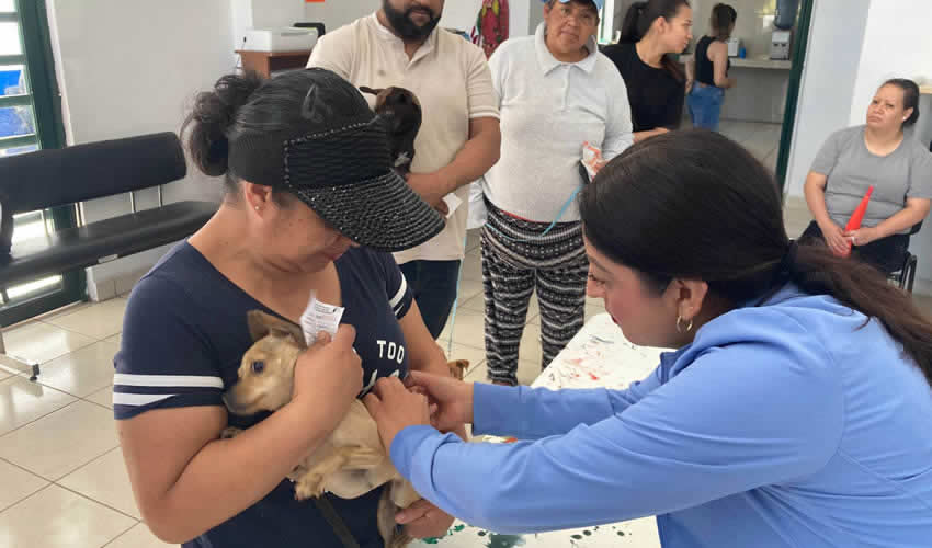 Imagen relativa a la nota.