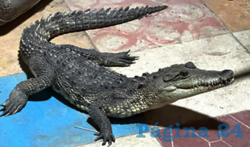 Imagen relativa a la nota.