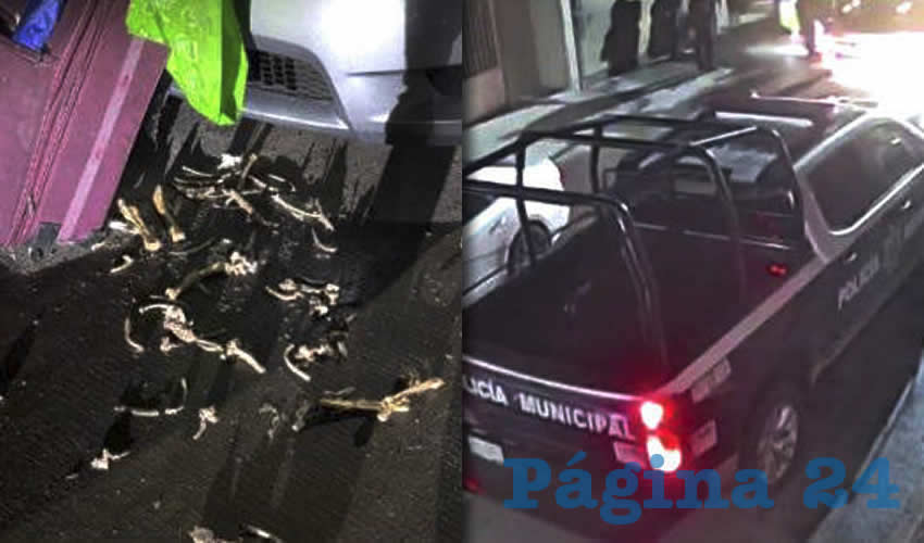 Imagen relativa a la nota.