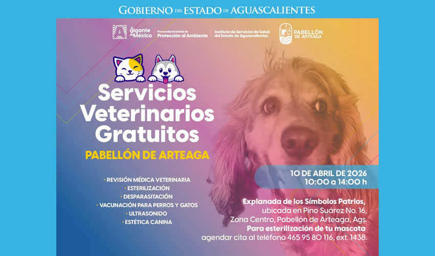 Imagen relativa a la nota.