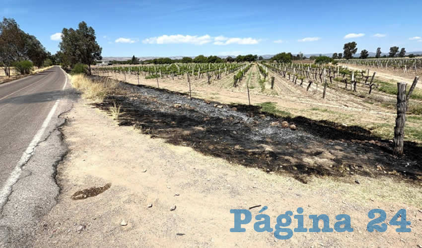 Imagen relativa a la nota.