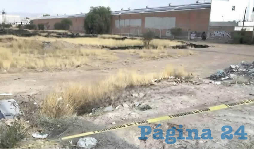 Imagen relativa a la nota.