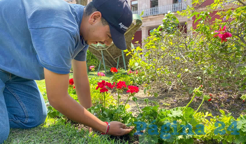 Imagen relativa a la nota.