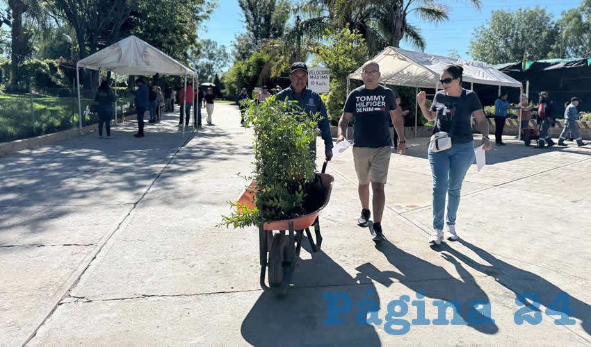 Imagen relativa a la nota.