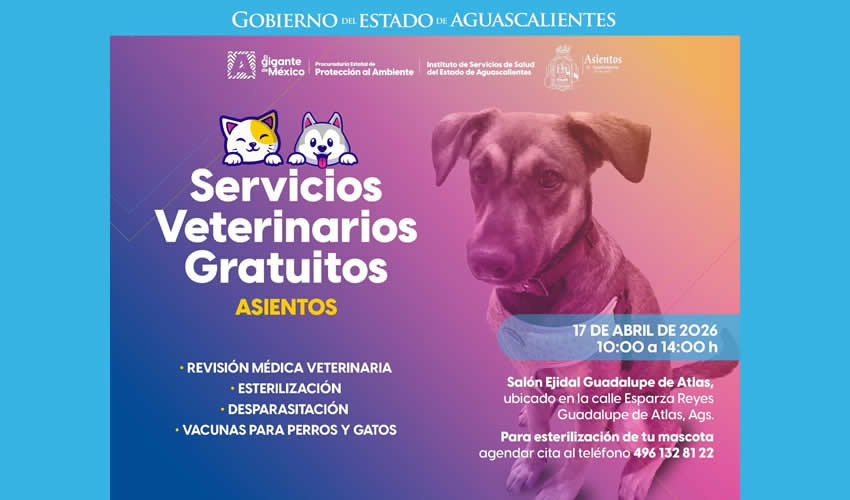 Imagen relativa a la nota.