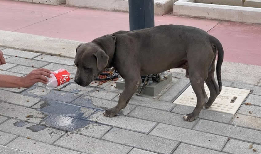 Imagen relativa a la nota.