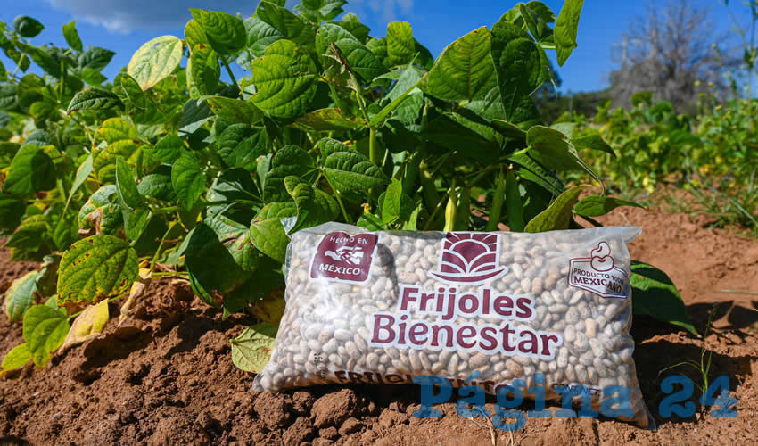 Imagen relativa a la nota.