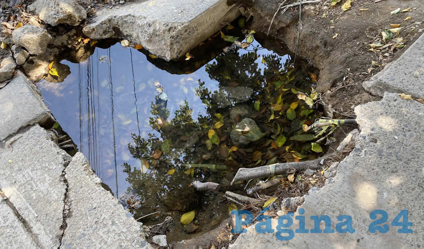 Imagen relativa a la nota.