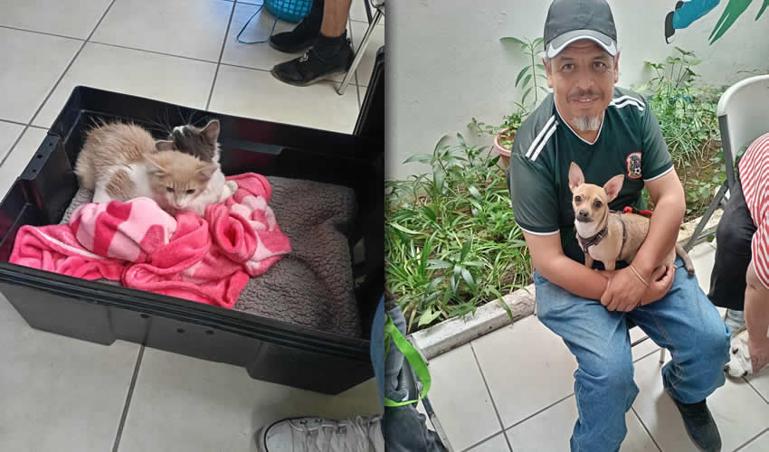 Imagen relativa a la nota.