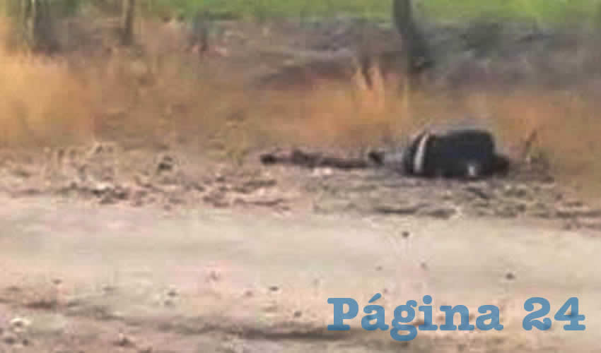 Imagen relativa a la nota.