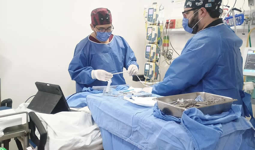 Imagen relativa a la nota.