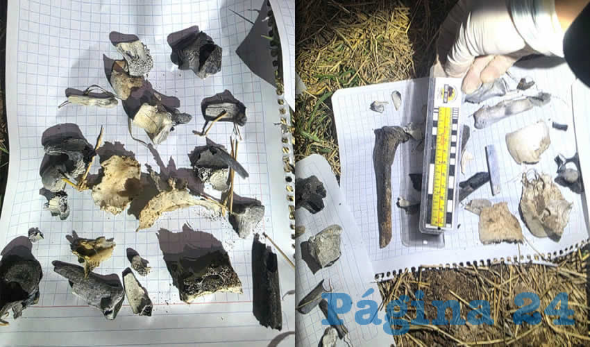 Imagen relativa a la nota.