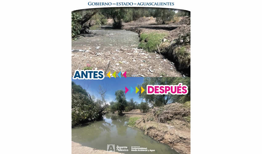 Imagen relativa a la nota.