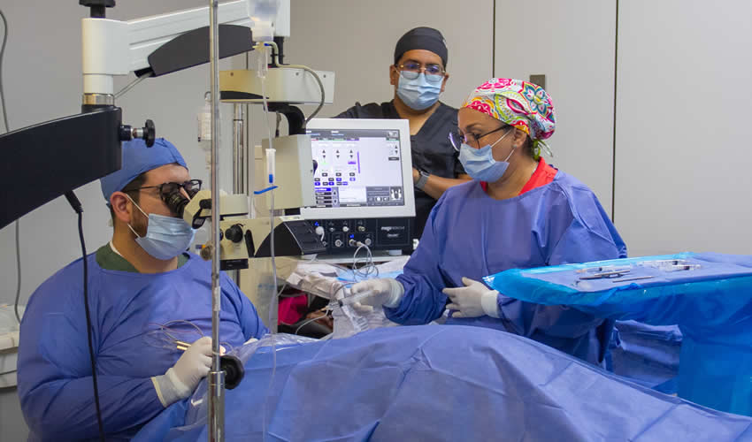 Imagen relativa a la nota.