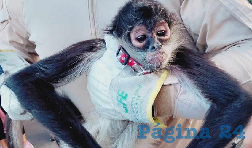 Imagen relativa a la nota.