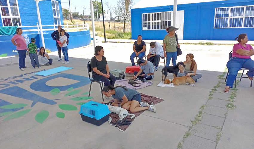 Imagen relativa a la nota.