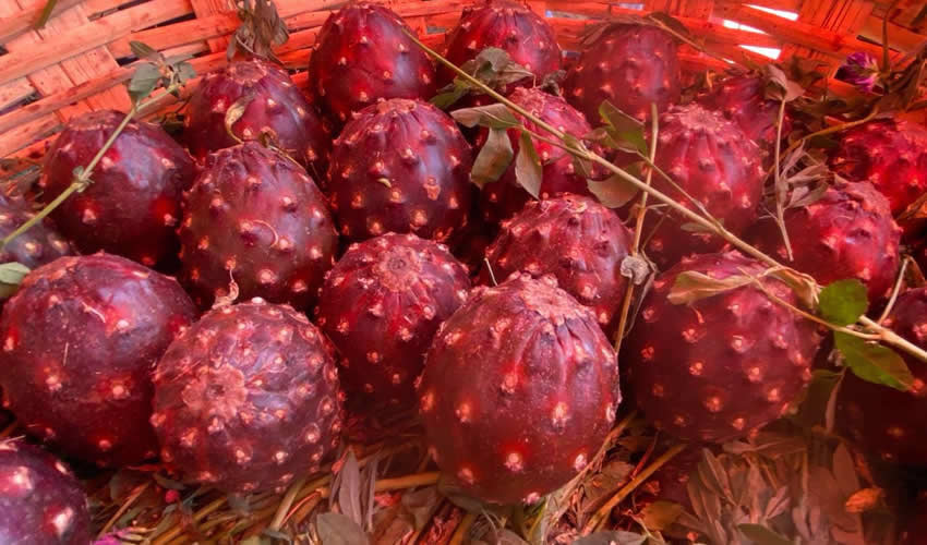 Imagen relativa a la nota.