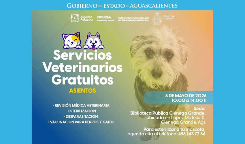 Imagen relativa a la nota.
