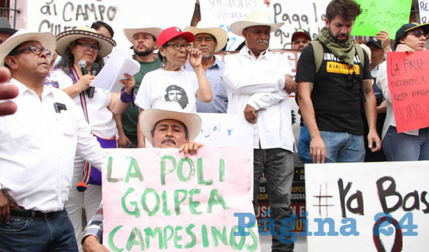 Imagen relativa a la nota.