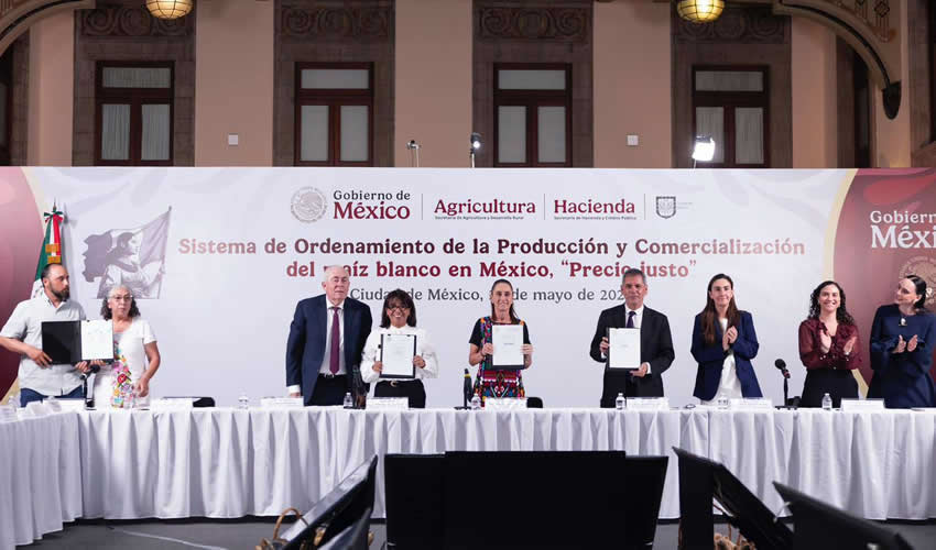 Imagen relativa a la nota.