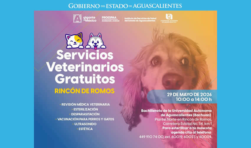 Imagen relativa a la nota.