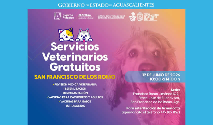 Imagen relativa a la nota.