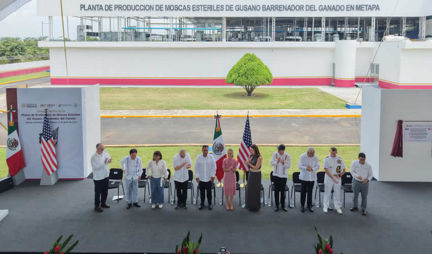 Imagen relativa a la nota.