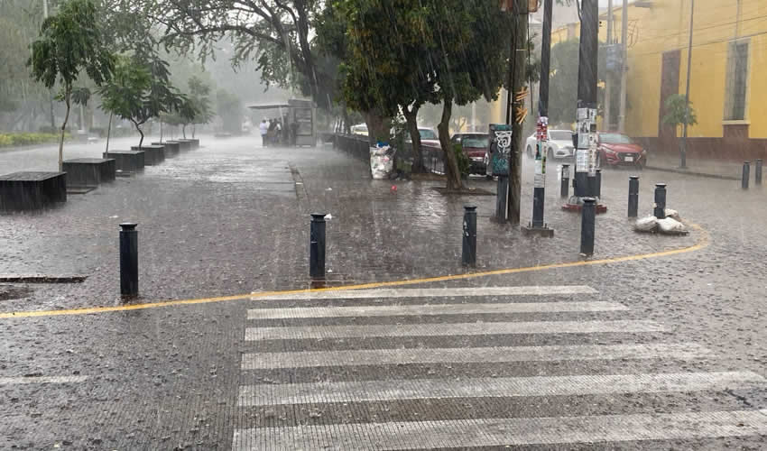 Imagen relativa a la nota.