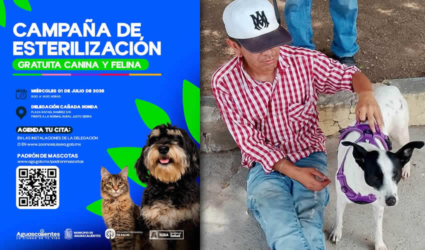 Imagen relativa a la nota.