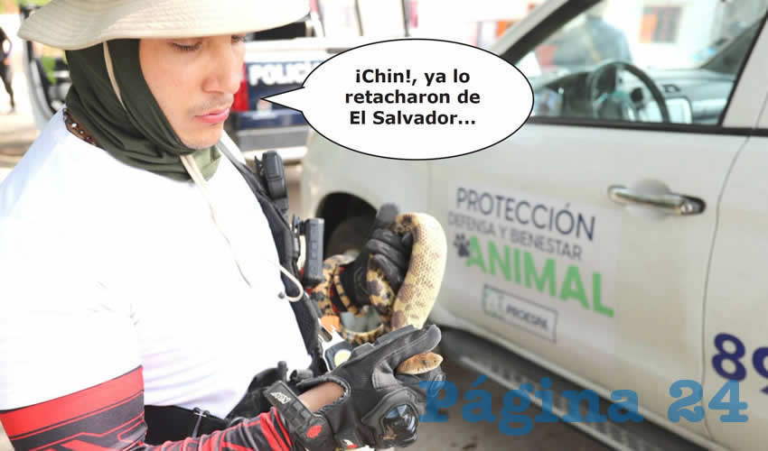 Si las Fotos Hablaran Dirian que…
