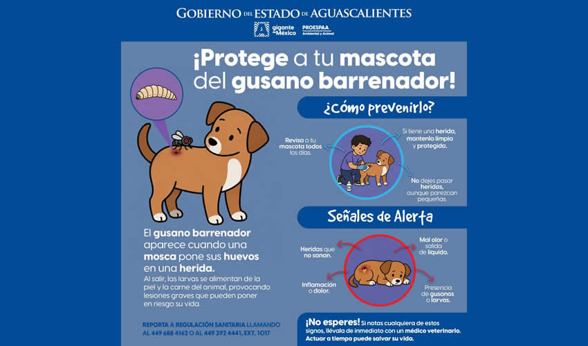 Imagen relativa a la nota.