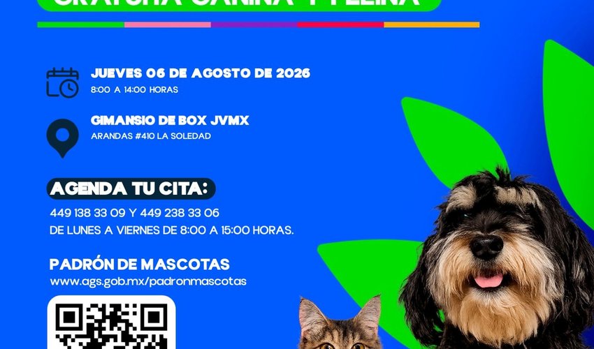 Imagen relativa a la nota.