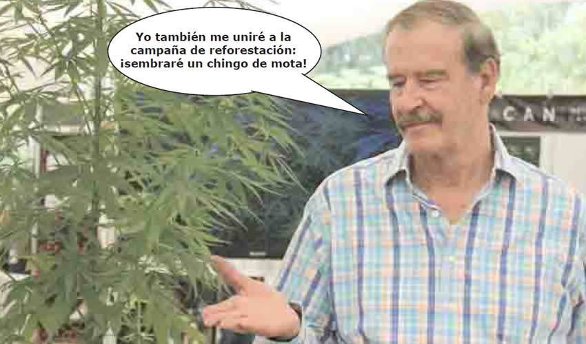 Si las Fotos Hablaran Dirian que…