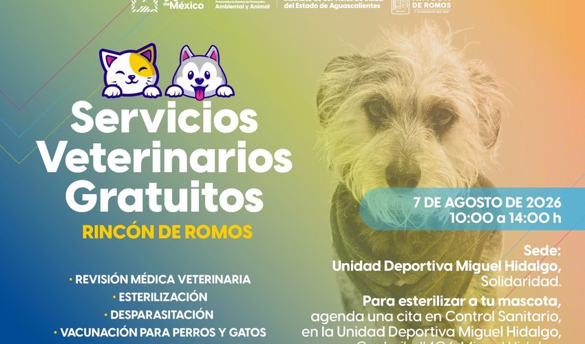 Imagen relativa a la nota.