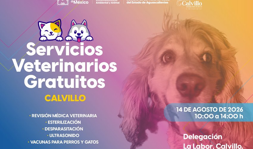 Imagen relativa a la nota.