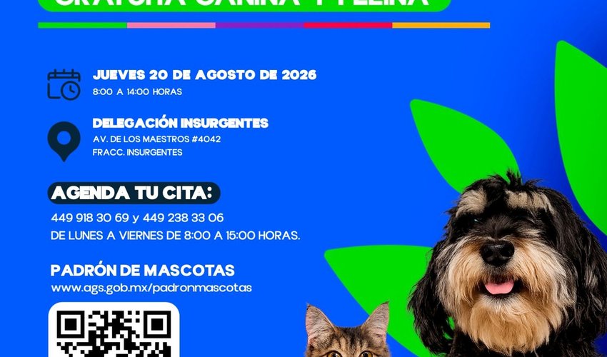 Imagen relativa a la nota.